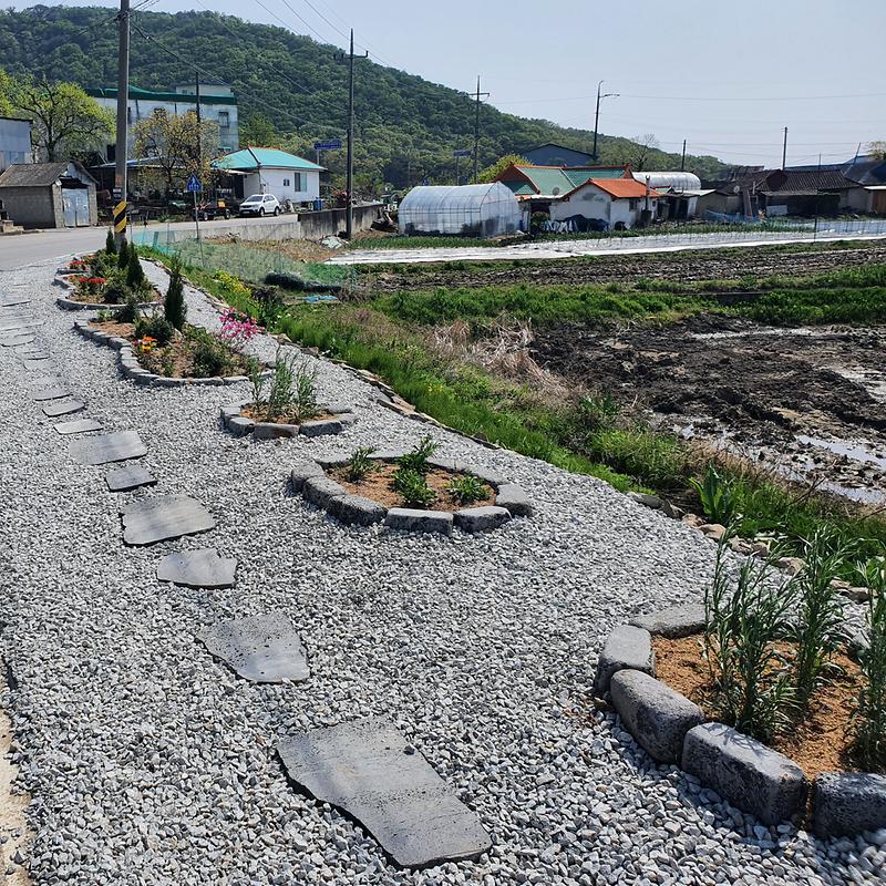 [강화군]양사면_클린화단_(1)